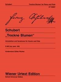 Schubert: Trockne Blumen Op. posth. 160 (Dwarsfluit, Piano)