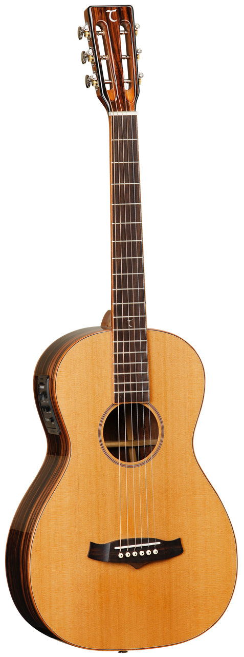 Tanglewood Java Exotic J8E