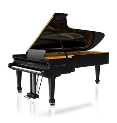 IK Multimedia Miroslav Philharmonik 2 CE (Download) afbeelding 4
