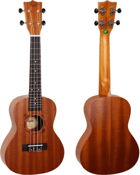 Flight NUC 310 – concertukelele