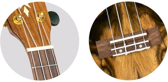Flight DUC 430 DAO – concertukelele