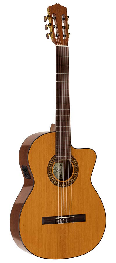 Salvador Cortez CC-22CE Artist Series Klassieke Gitaar