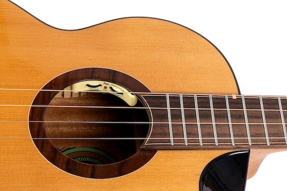 Flight LILY BARITONE EQ-A – elektro-akoestische baritonukelele