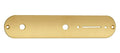 Boston CP-TE-AG Control plate, 32x160mm, Teaser, 9,5mm holes for inch pots, gold