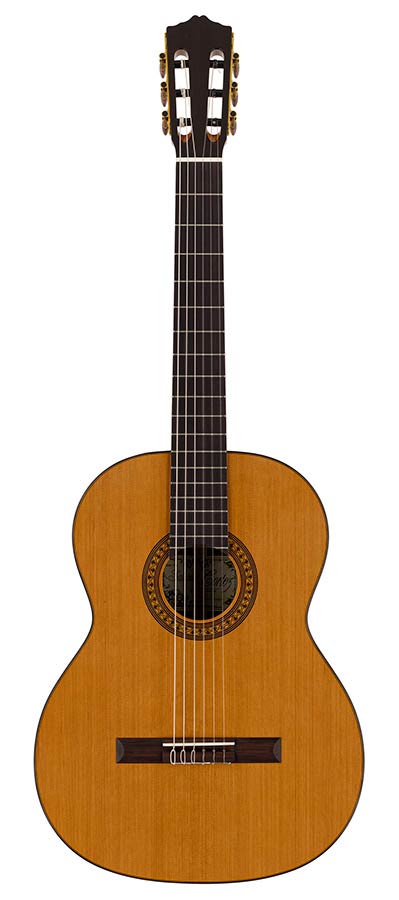 Salvador Cortez CC-32 Solid Top Artist Series Klassieke Gitaar Ceder – afbeelding 3