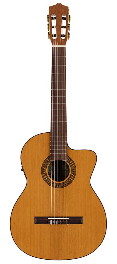 Salvador Cortez CC-22CE Artist Series Klassieke Gitaar – afbeelding 3