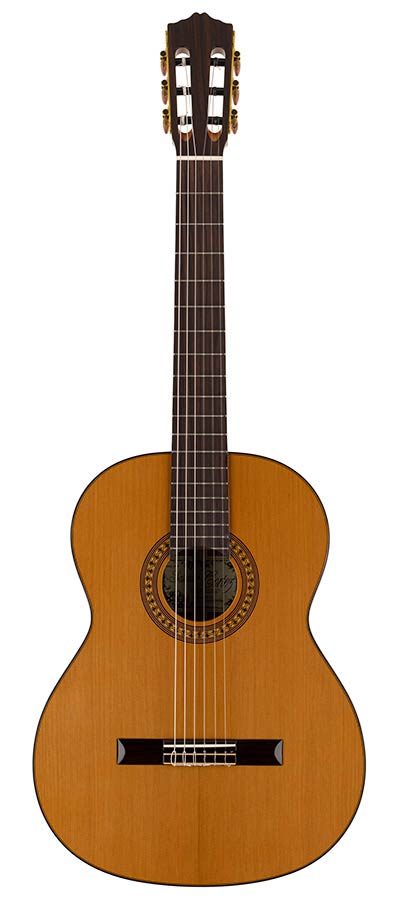 Salvador Cortez CC-50 Solid Top Artist Series Klassieke Gitaar Ceder – afbeelding 3