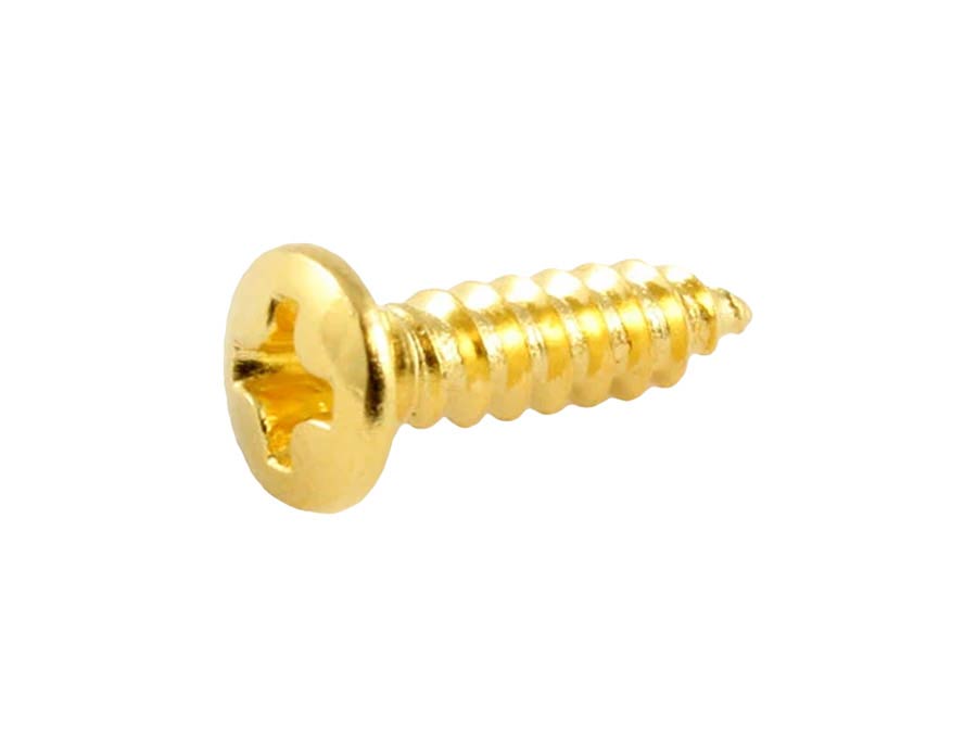 Allparts - GS0001B02 - bulk pack of pickguard screws, gold, 100pcs
