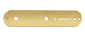 Boston CP-TE-G Control plate, 32x160mm, Teaser, 8,5mm holes for metric pots, gold