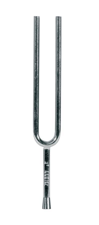 Wittner Stemvork - 293,67 hz, 4x8 mm, Vierkant, Vernikkeld