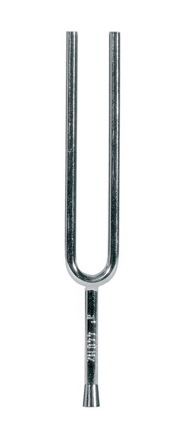 Wittner Stemvork - 311,13 hz, 4x8 mm, Vierkant, Vernikkeld