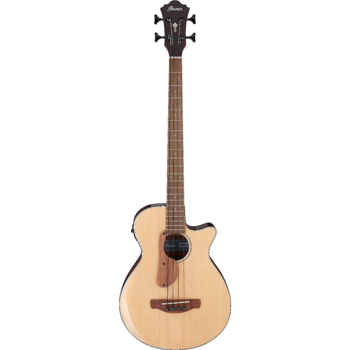Ibanez AEGB30 – Guitar Part