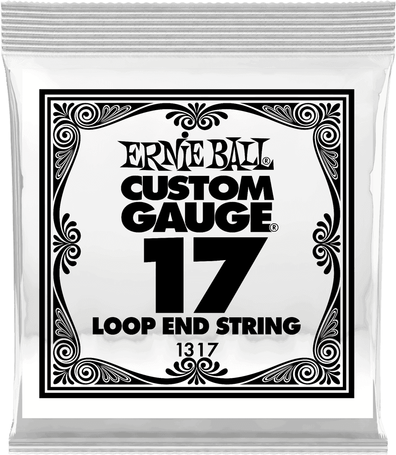 Ernie Ball Stainless Steel Folksnaar Loop-end Plain Steel 017 6-pack