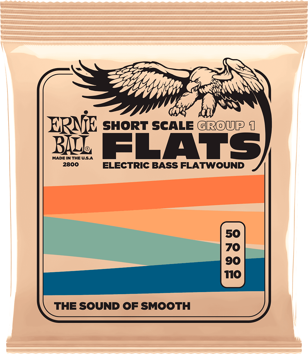 Ernie Ball Slinky Flats Bass Basgitaarsnaren Flatwound Basse Short Scale Groupe 1 50-110