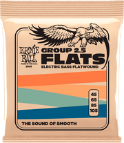 Ernie Ball Slinky Flats Bass Basgitaarsnaren Flatwound Basse Long Scale 45-105