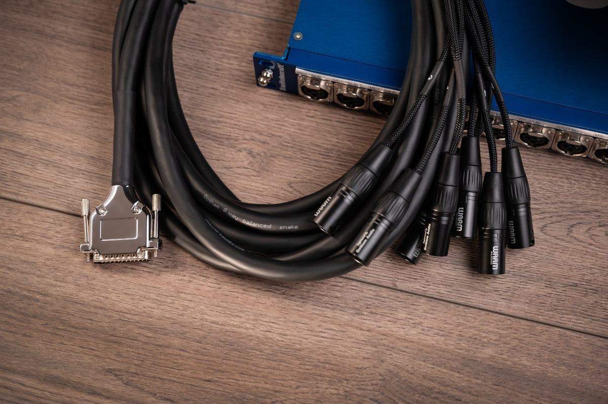 Warm Audio Premier DB25-XLRm-10' afbeelding 3