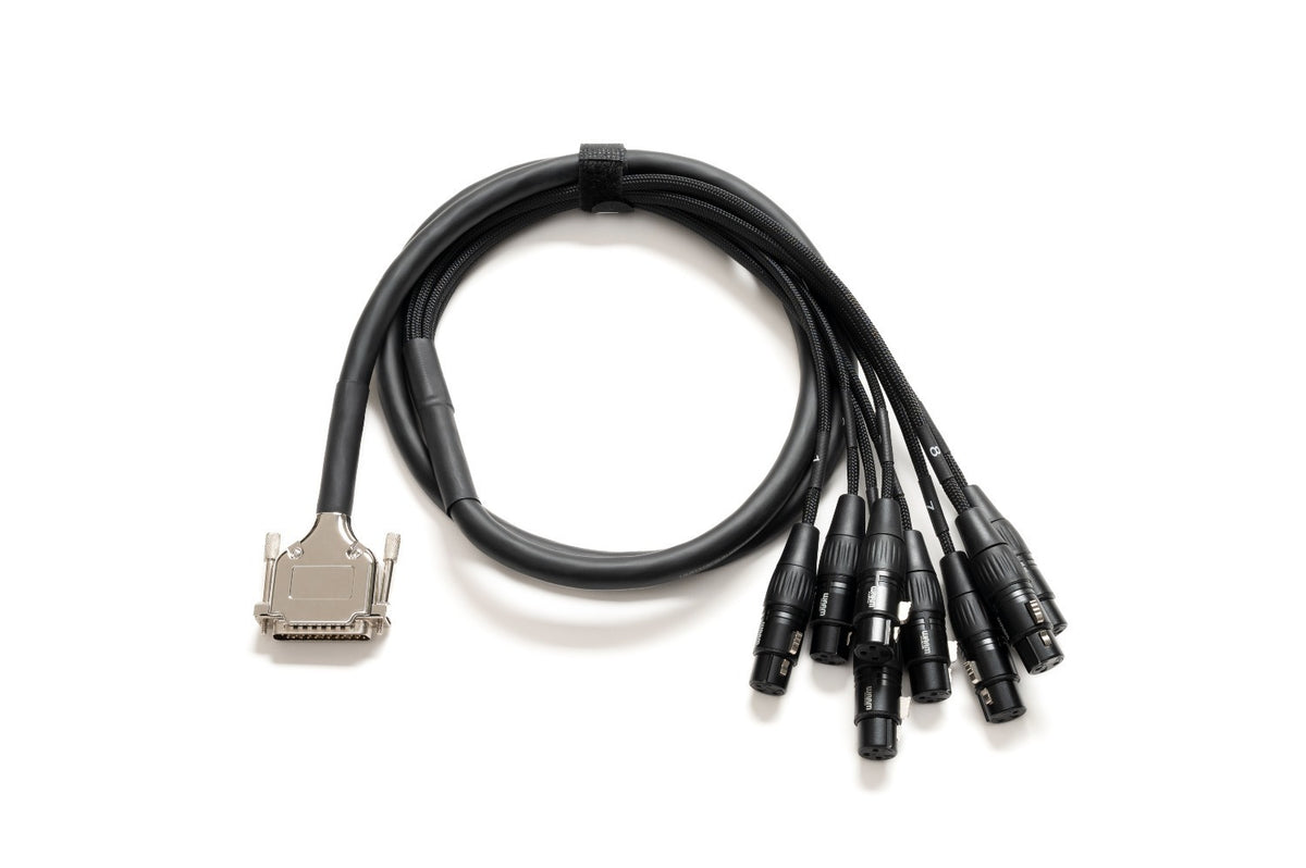 Warm Audio Premier DB25-XLRf-6'