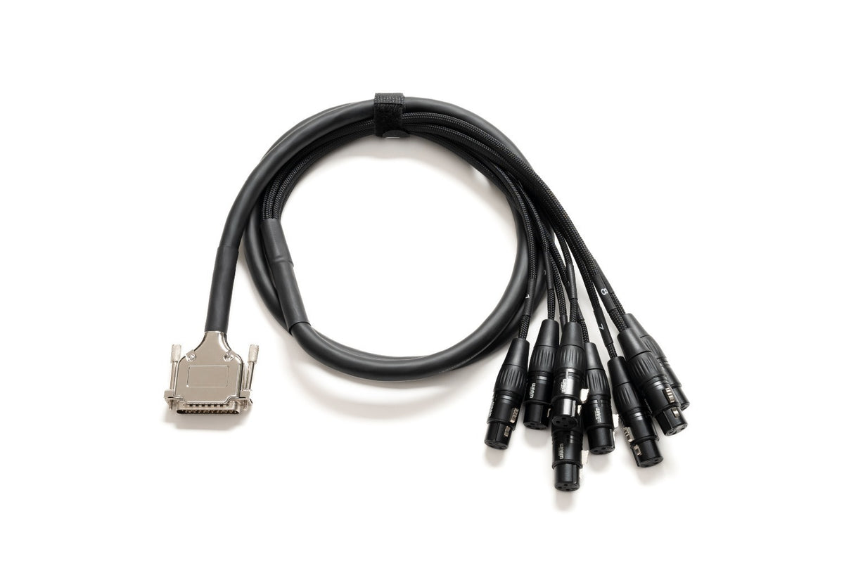 Warm Audio Premier DB25-XLRf-10' afbeelding 2