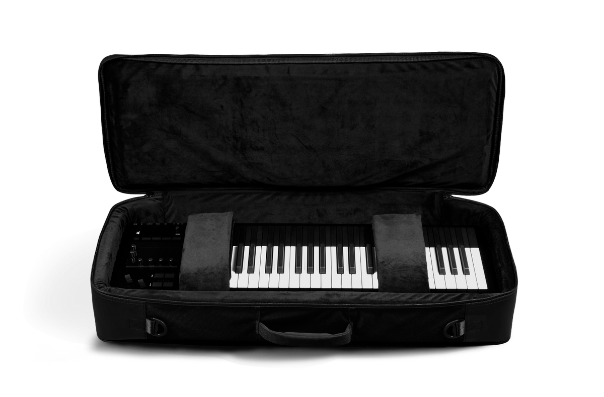 Expressive E Osmose 49 Softcase