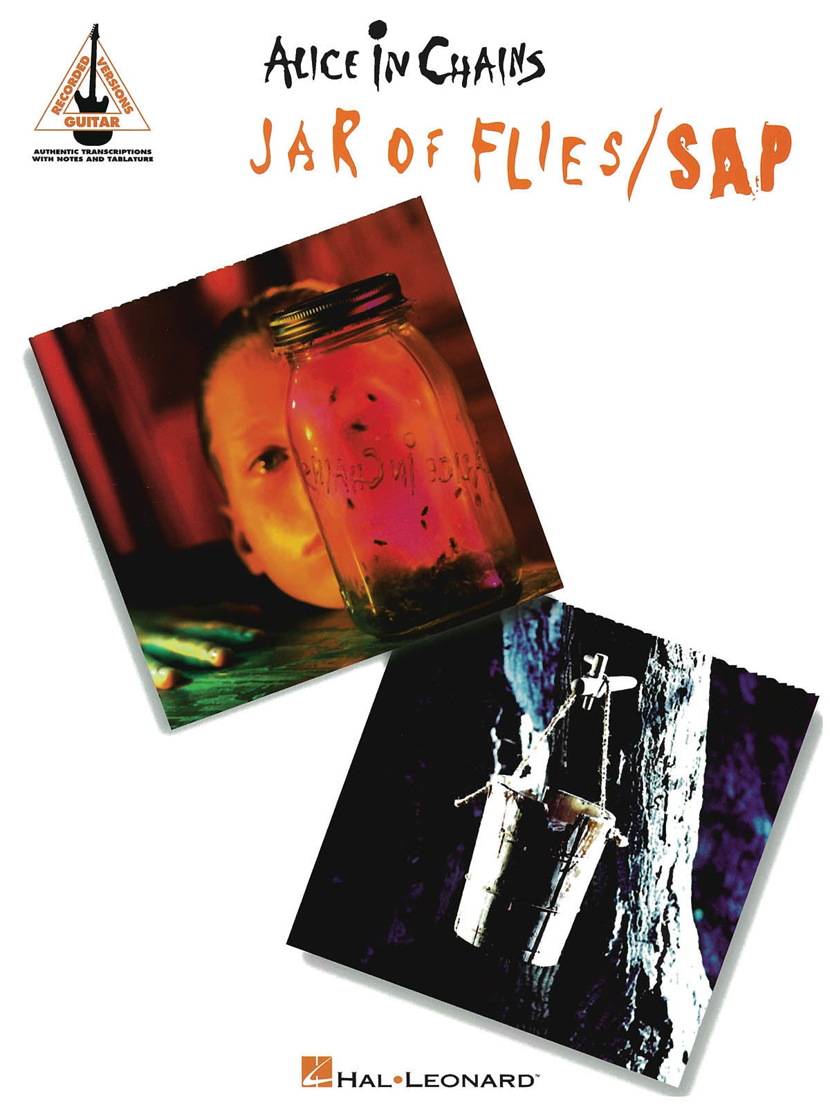 Alice In Chains - Jar of Flies/Sap – Guitar Recorded Versions | Gitaar