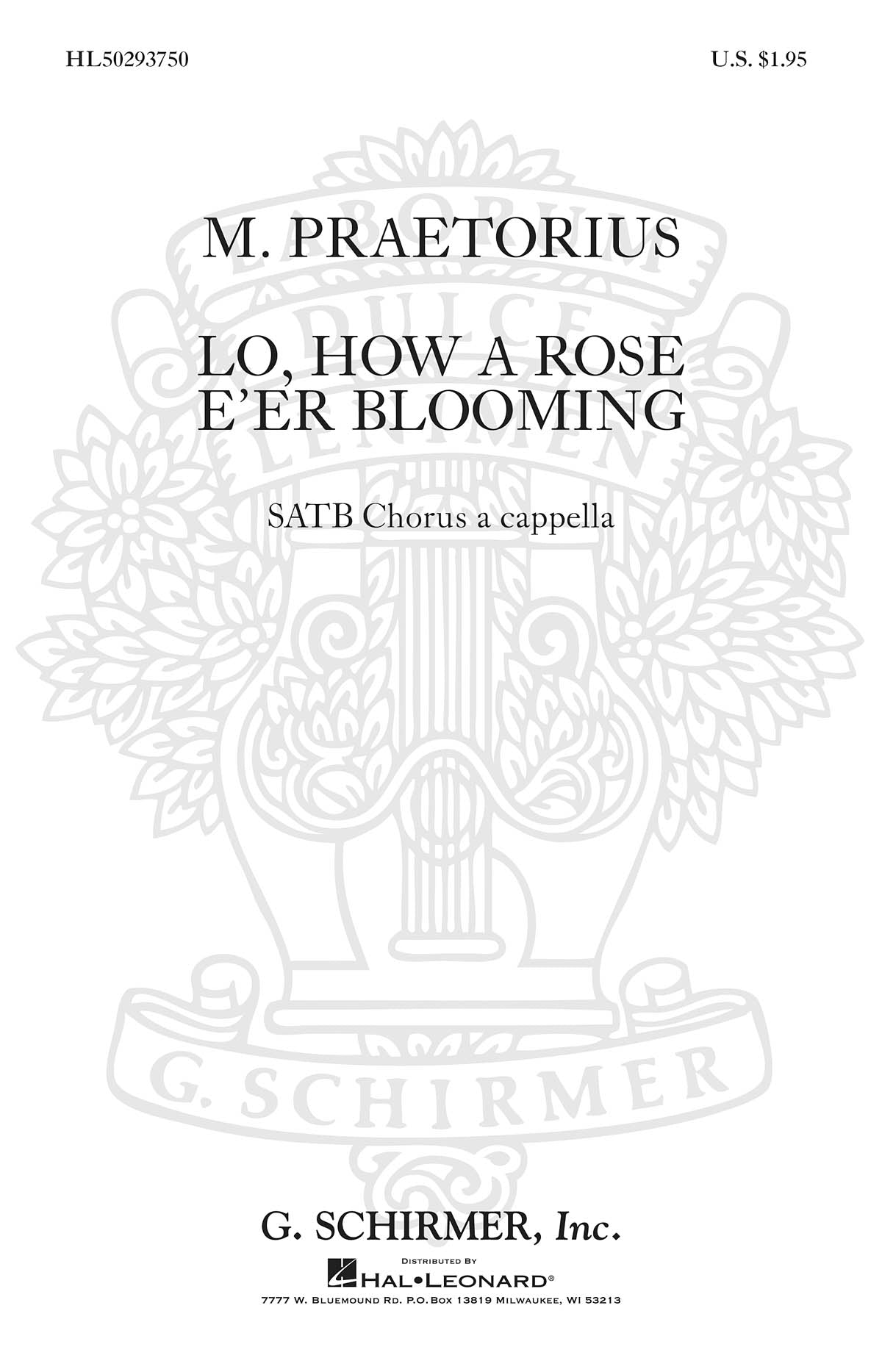 Praetorius: Lo How A Rose E'er Blooming A Cappella