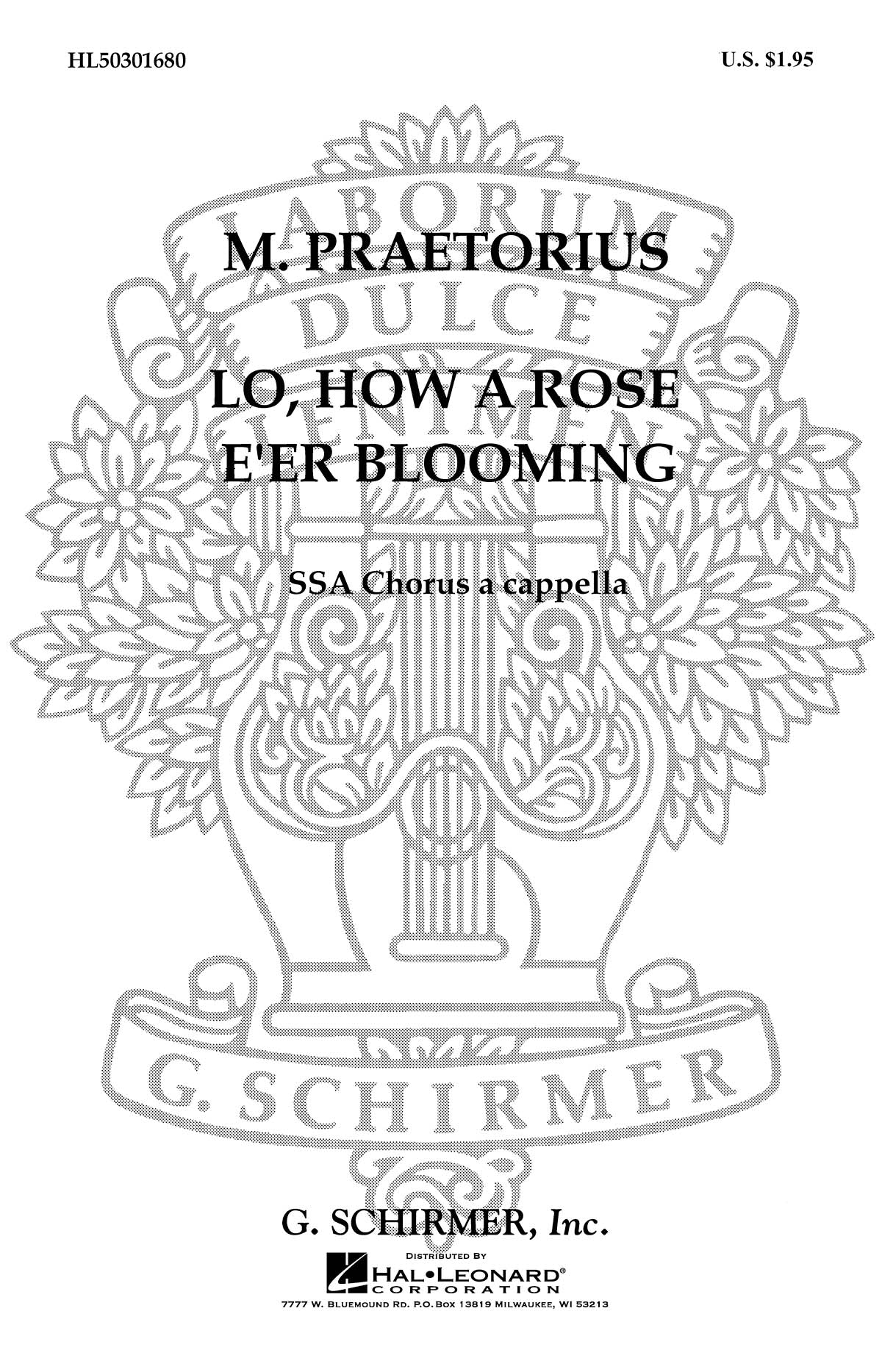 Praetorius: Lo How A Rose E'er Blooming A Cappella