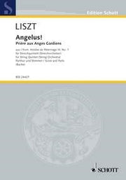 Angelus!