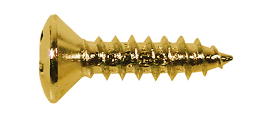 Boston TS-01-G zelftappende schroeven 3 x 12 mm 12 stuks goud