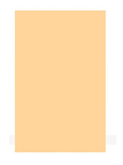 Boston PG-134-C slagplaat materiaal, cream, 1 ply, 45x29cm