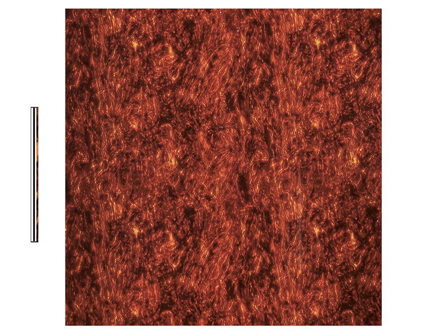 Boston PG-433-T slagplaat materiaal, tortoise, 4 ply, 30x29cm