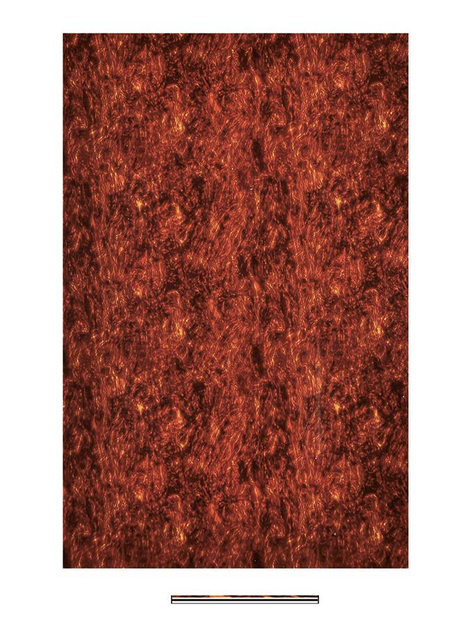 Boston PG-434-T slagplaat materiaal, tortoise, 4 ply, 45x29cm