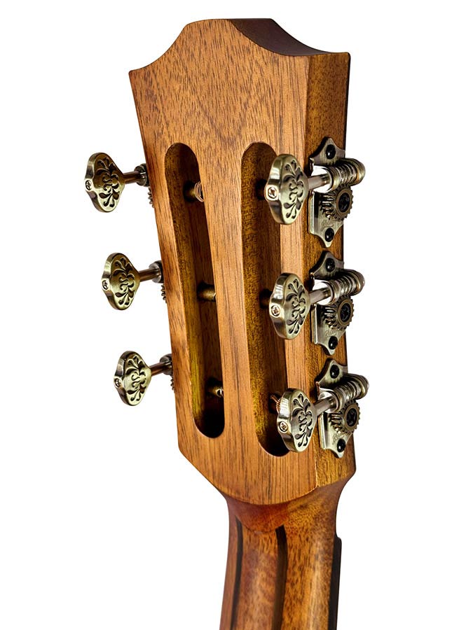 Bromo BAR6E Rocky Mountain Series Parlor Electro-acoustic Guitar - Satin