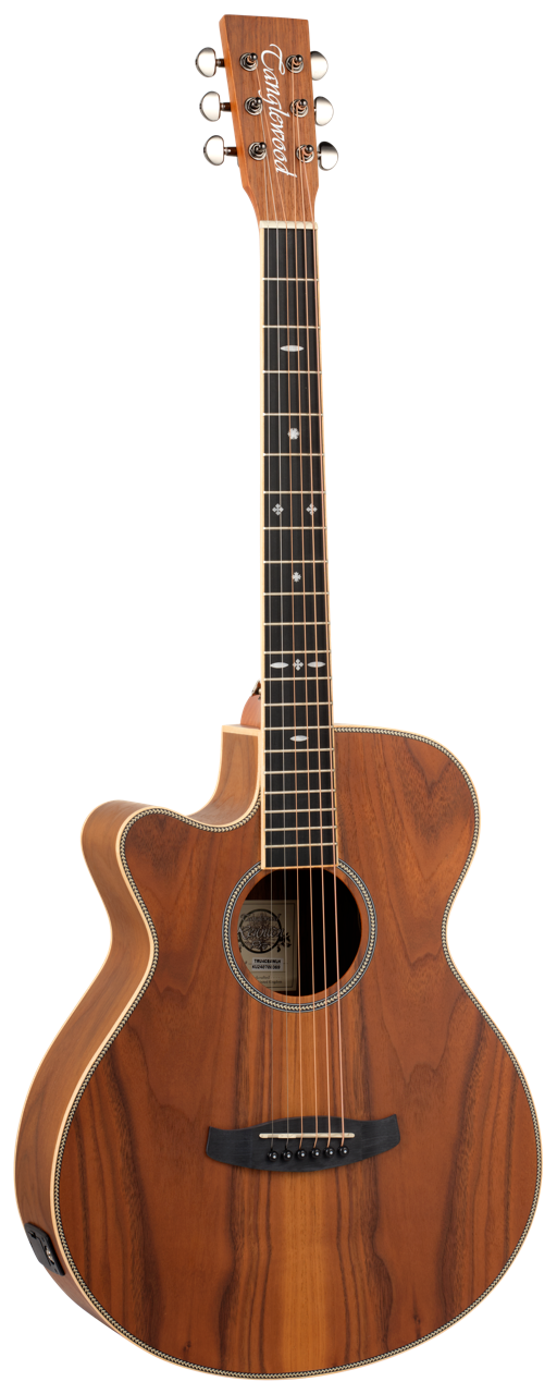 Tanglewood Reunion Pro 4CE AW LH