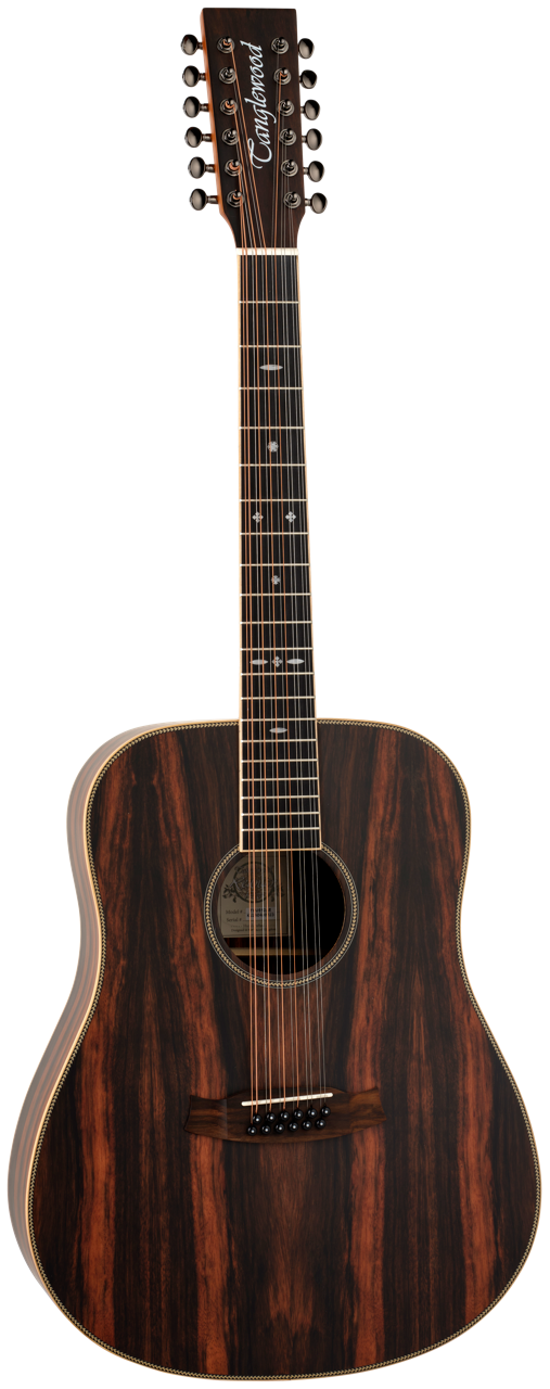 Tanglewood Reunion Pro 5-12 AE Ebony