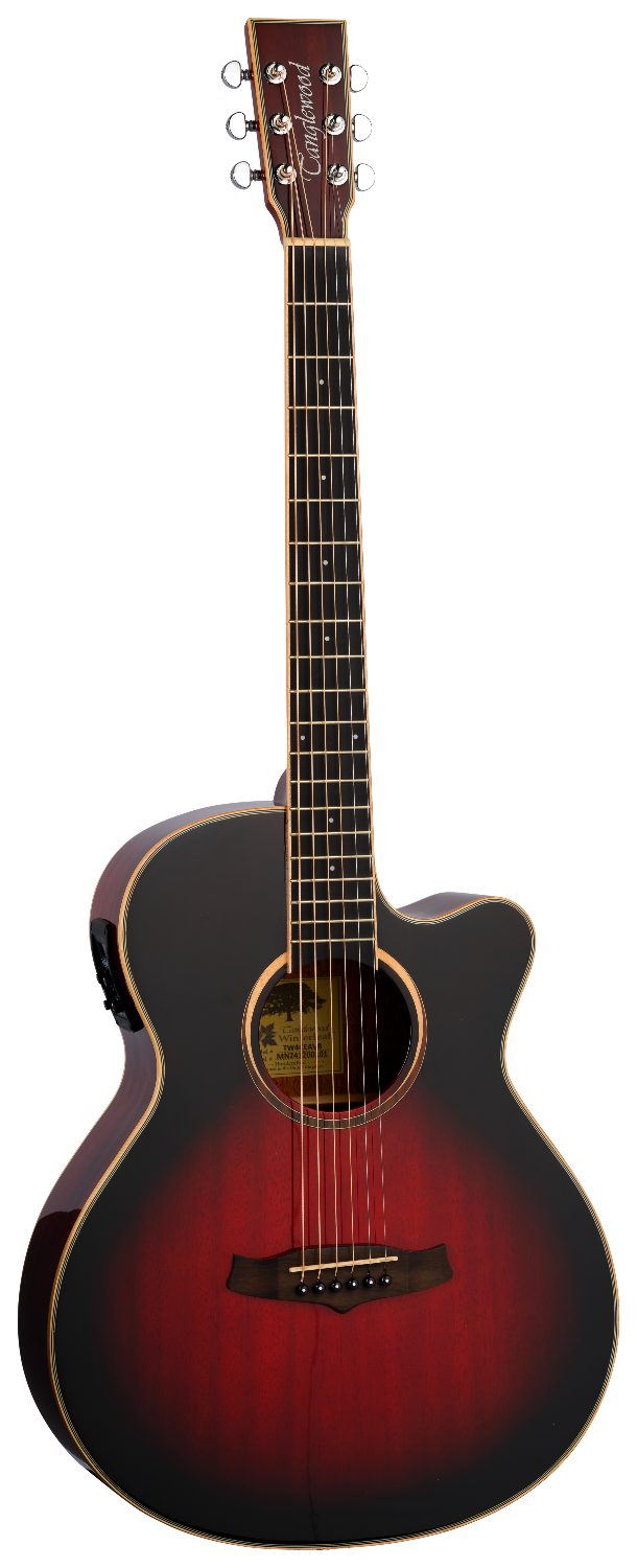 Tanglewood Winterleaf E AVB