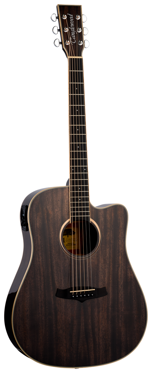 Tanglewood Winterleaf 5 CE BS