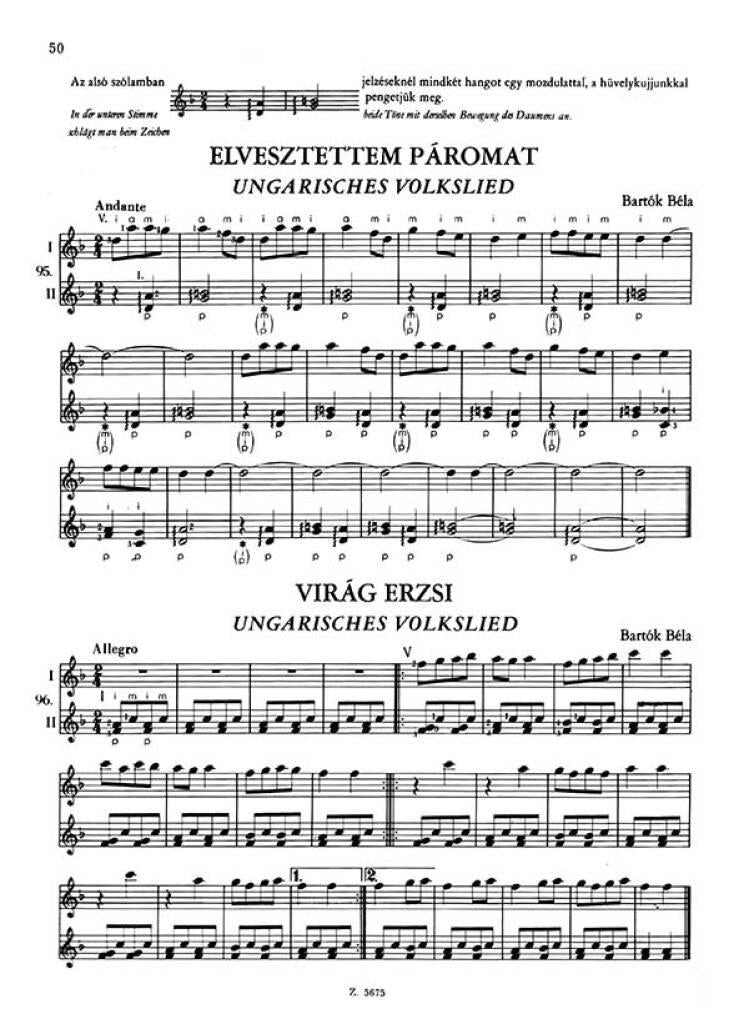 Puskás: Guitar Tutor