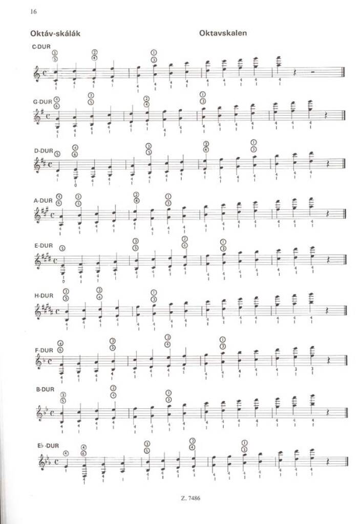 Tibor Csepei: E-Gitarrenschule II(Grundlagen des Gitarrenspiels: musikalische, technische Akkord- un