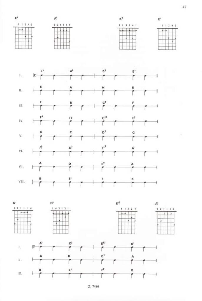 Tibor Csepei: E-Gitarrenschule II(Grundlagen des Gitarrenspiels: musikalische, technische Akkord- un