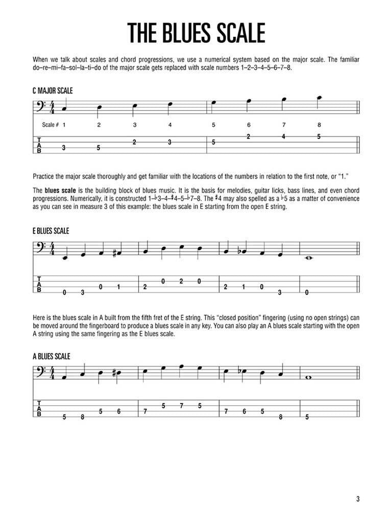 Ed Friedland: Blues Bass