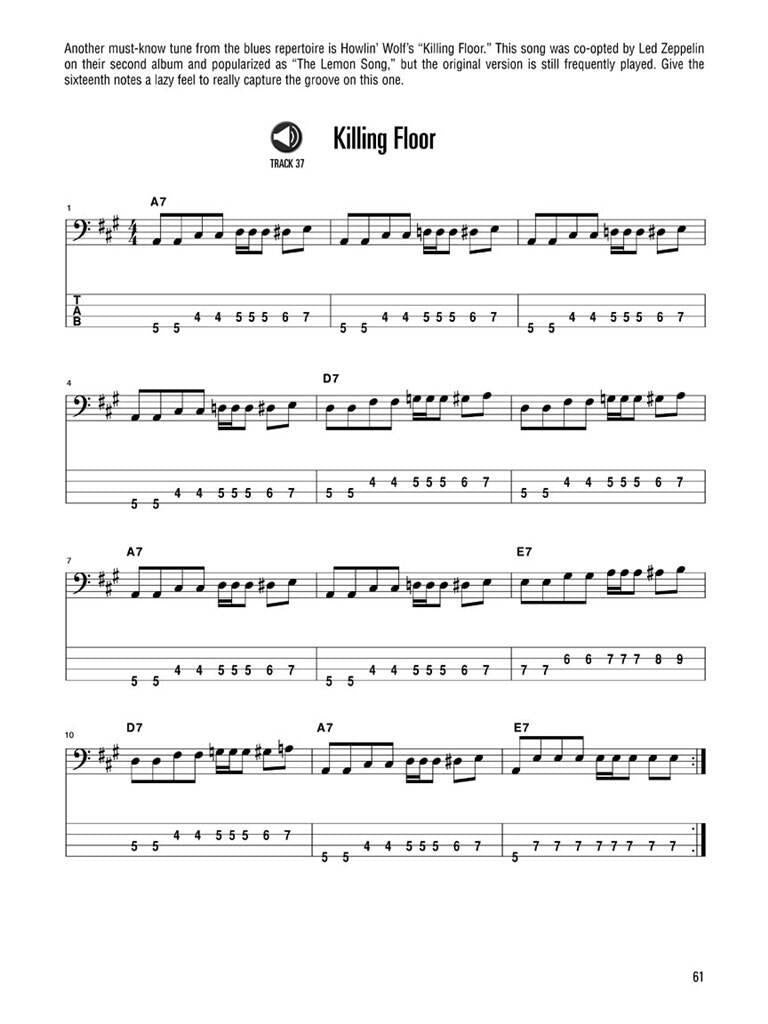 Ed Friedland: Blues Bass