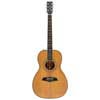 Sire A4P Larry Carlton elektrische gitaar natural
