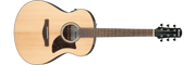 Ibanez AAM100E – Gitaaronderdeel