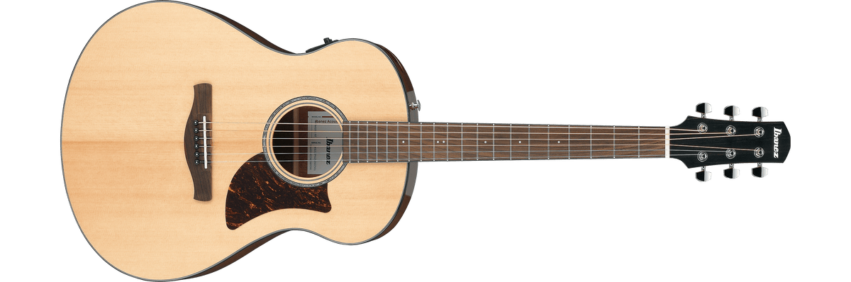 Ibanez AAM100E – Gitaaronderdeel
