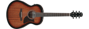 Ibanez AAM140E – Gitaaronderdeel