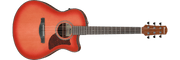 Ibanez AAM50CE – Gitaaronderdeel