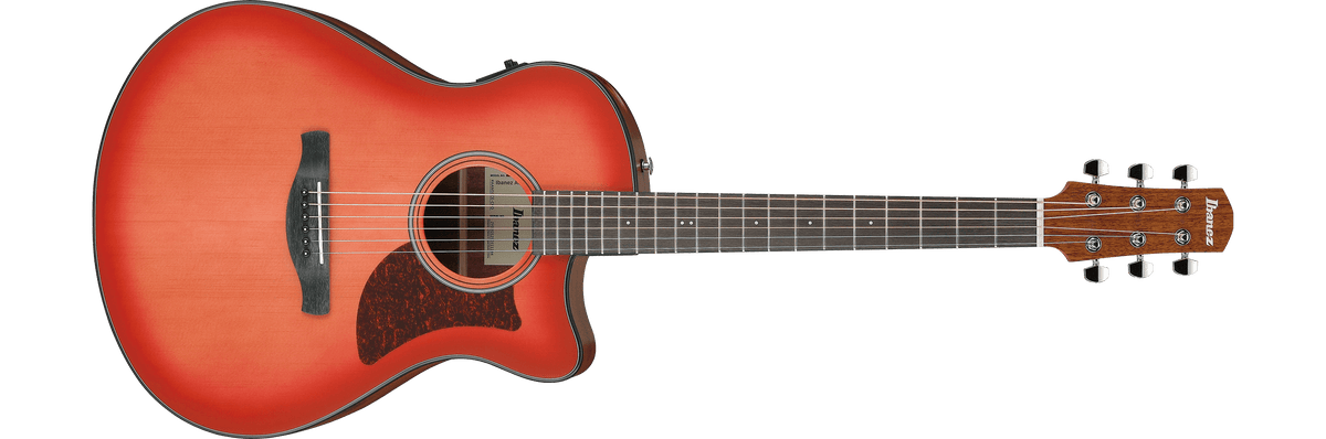 Ibanez AAM50CE – Gitaaronderdeel