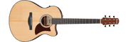 Ibanez AAM50CE – Gitaaronderdeel