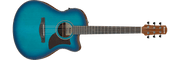 Ibanez AAM50CE – Gitaaronderdeel