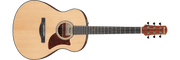 Ibanez AAM50 – Gitaaronderdeel